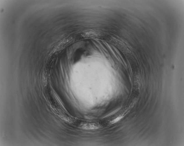 X0000085750751200703301402