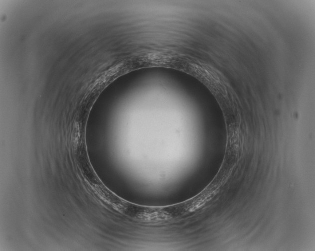 X0000085750752200703301402