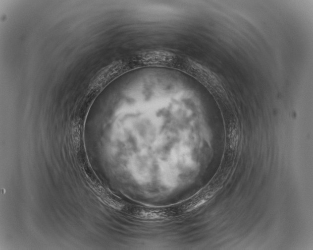 X0000085750753200703301402