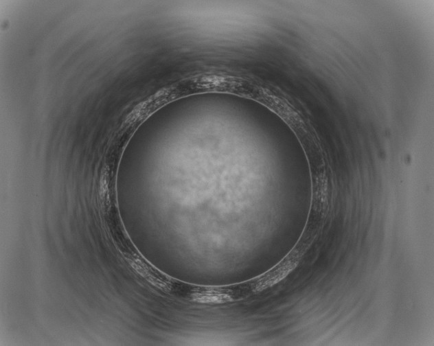 X0000085750754200703301402