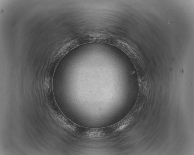 X0000085750756200703301402