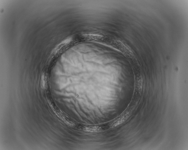 X0000085750757200703301402