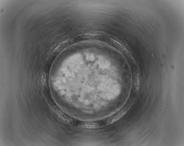 X0000085750758200703301402