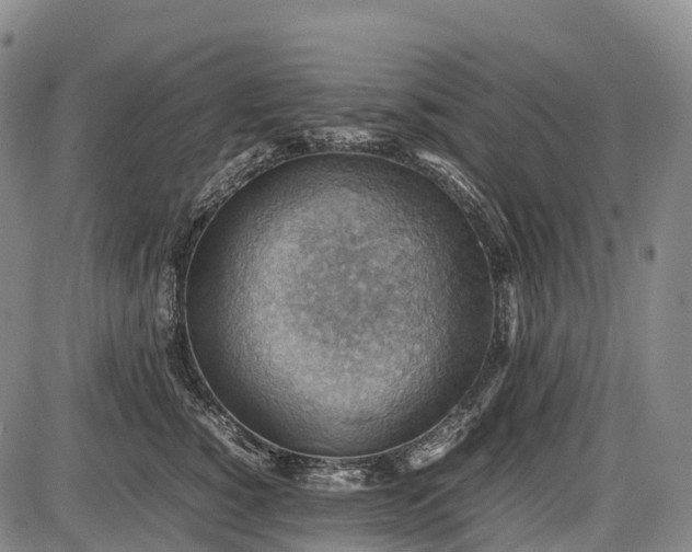 X0000085750760200703301402