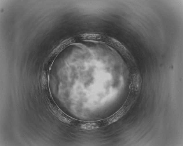 X0000085750761200703301402