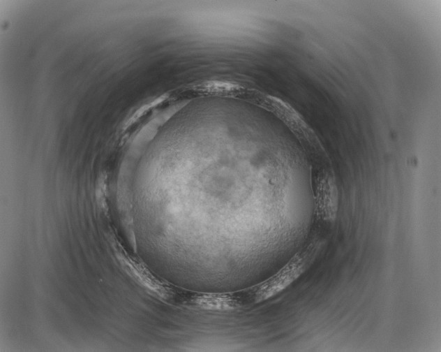 X0000085750762200703301402