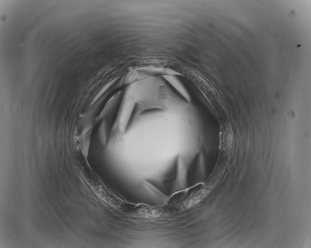 X0000085750764200703301402