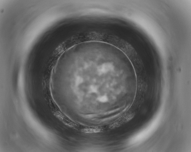 X0000085750765200703301402