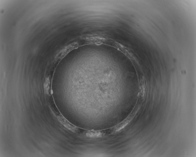 X0000085750767200703301402