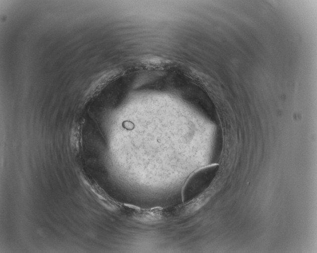 X0000085750768200703301402