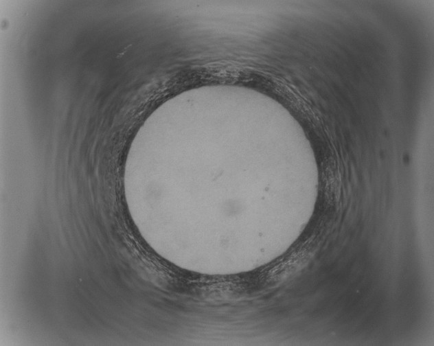 X0000085750769200703301401