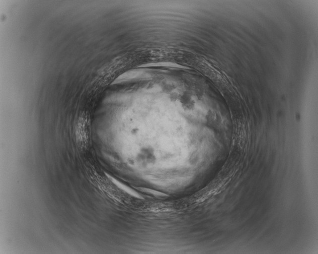 X0000085750770200703301401