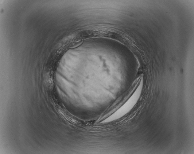 X0000085750771200703301401