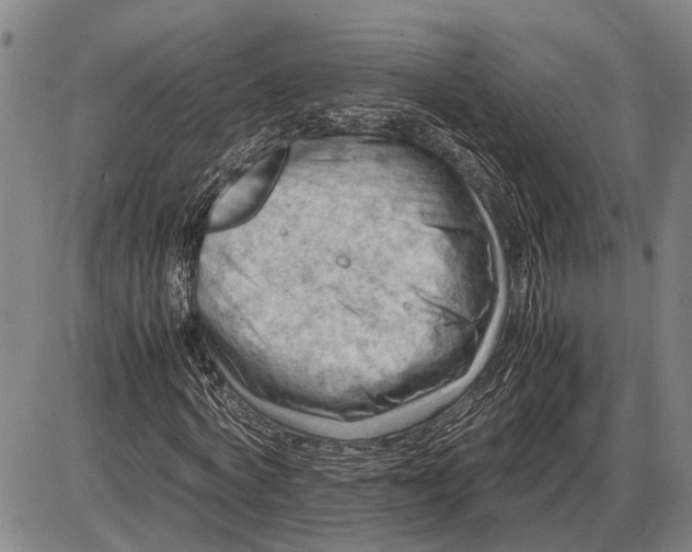 X0000085750772200703301401