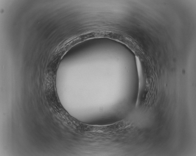 X0000085750773200703301401