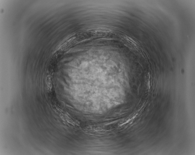 X0000085750774200703301401