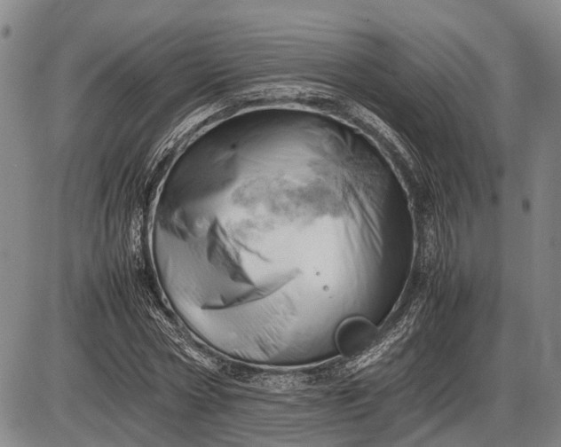 X0000085750778200703301401