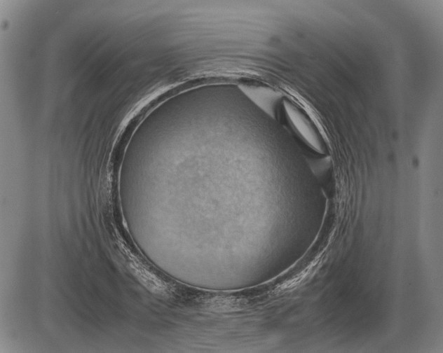 X0000085750779200703301401