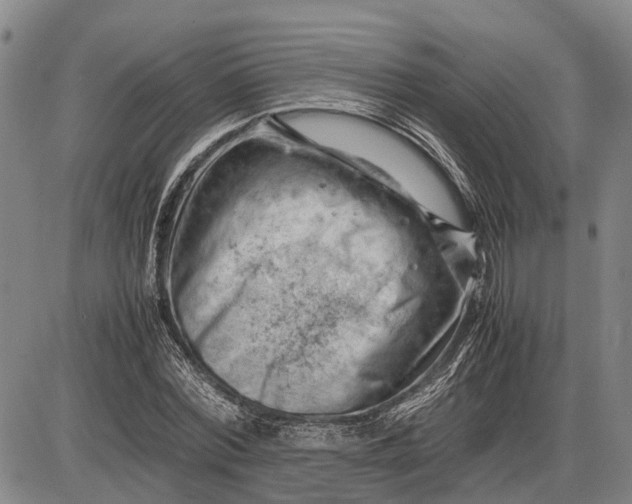 X0000085750780200703301401