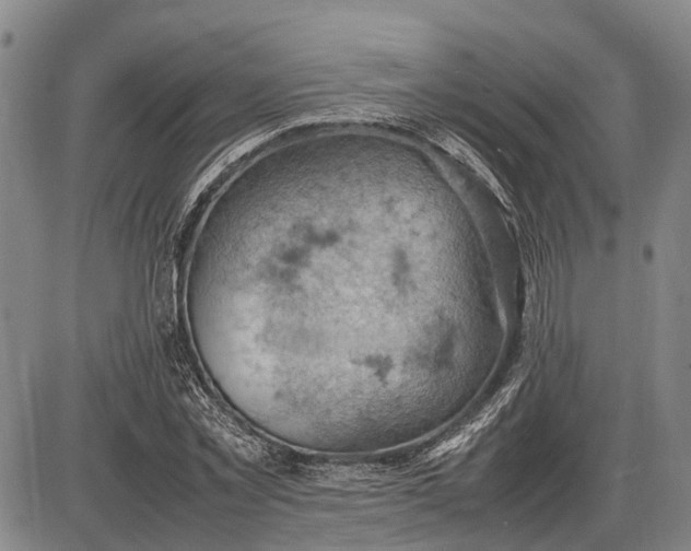 X0000085750781200703301401