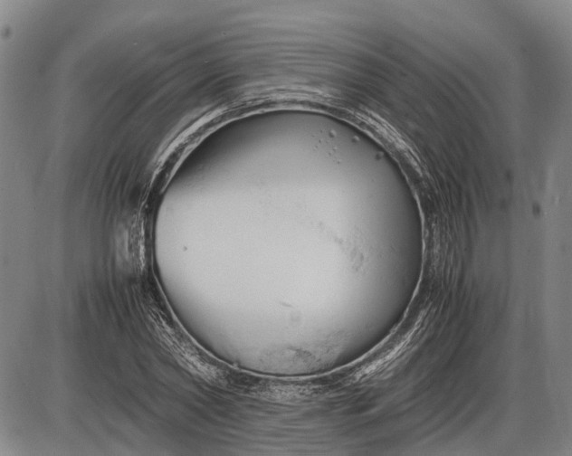 X0000085750782200703301401