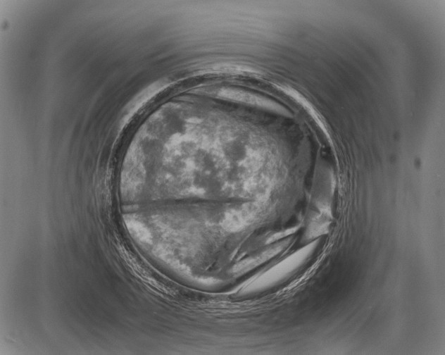 X0000085750783200703301401