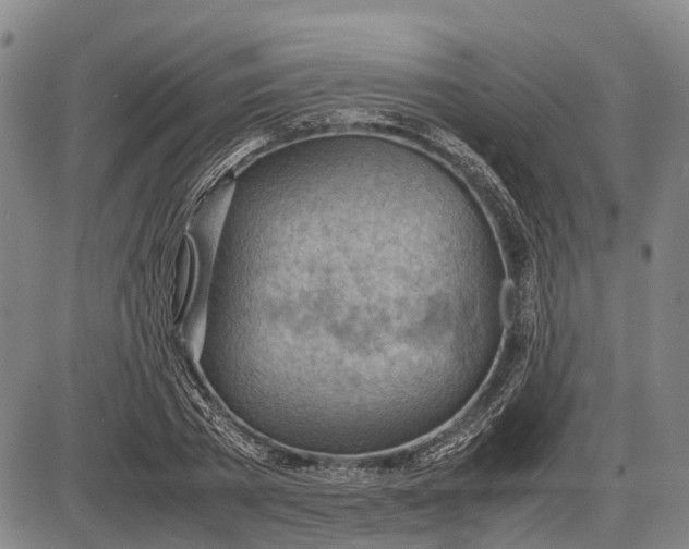 X0000085750785200703301401