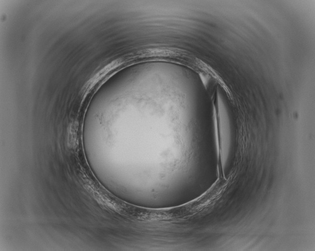 X0000085750786200703301401