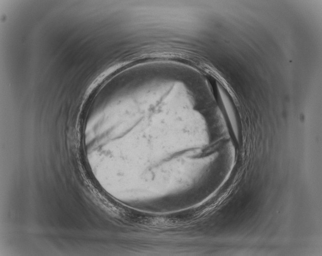 X0000085750787200703301401