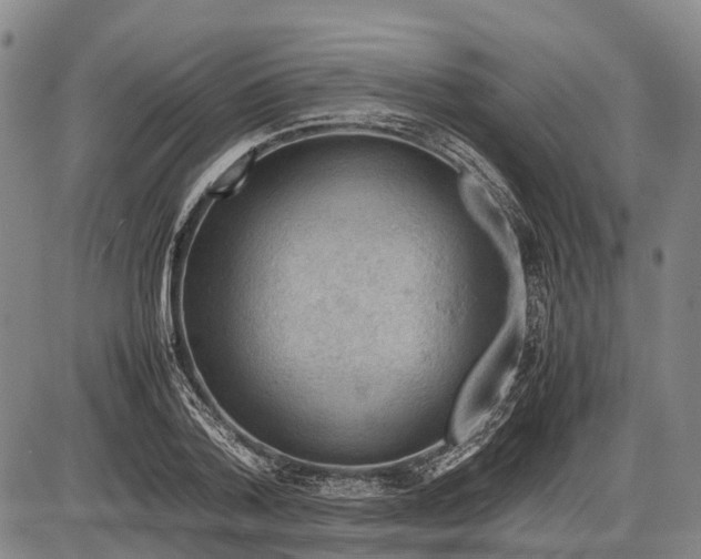 X0000085750788200703301401