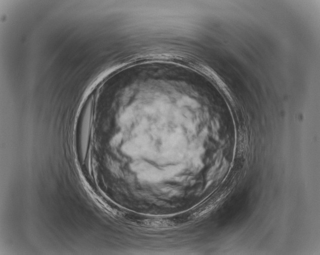 X0000085750795200703301401