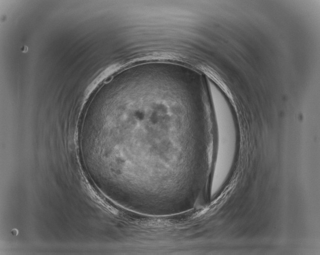 X0000085750797200703301401