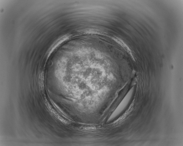 X0000085750798200703301401