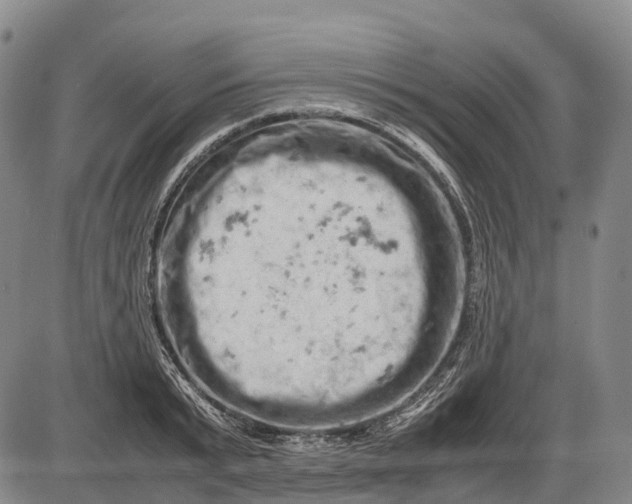 X0000085750799200703301401