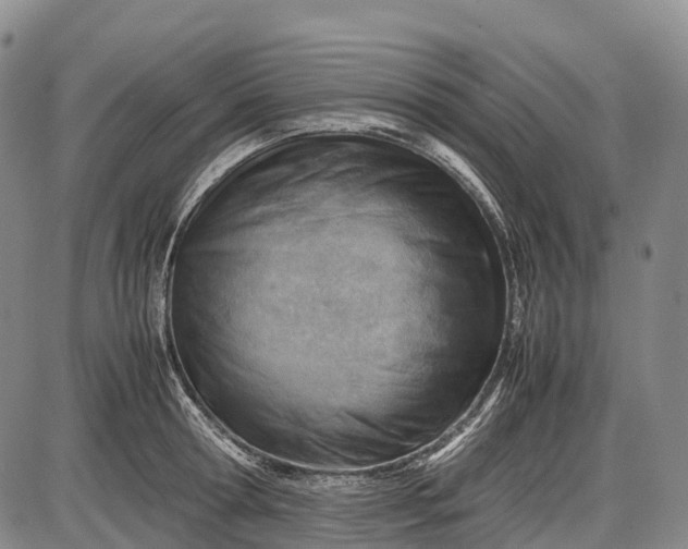 X0000085750802200703301401