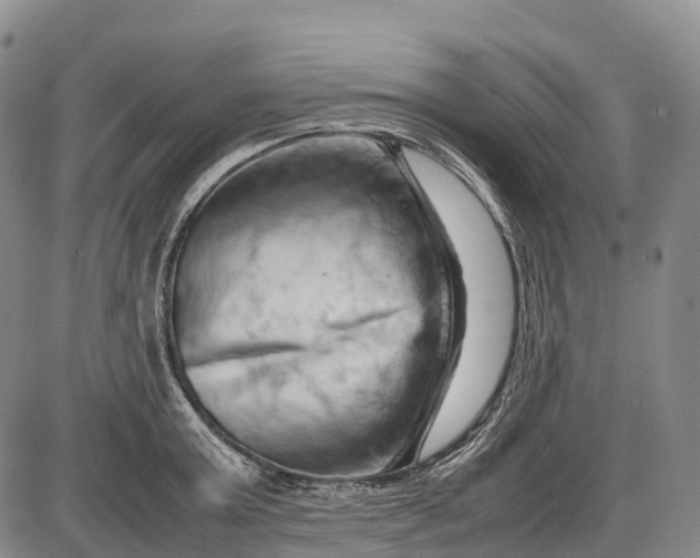 X0000085750803200703301401