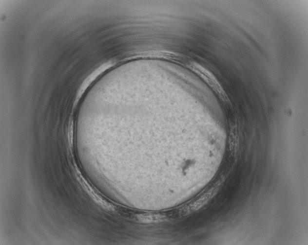 X0000085750804200703301401