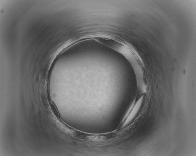 X0000085750805200703301401