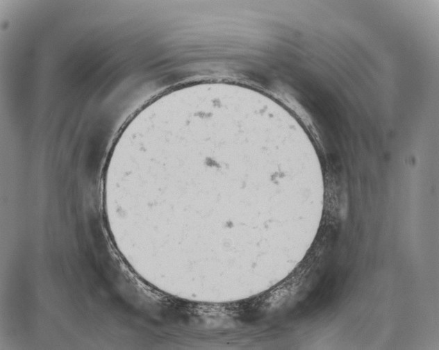 X0000085750807200703301401