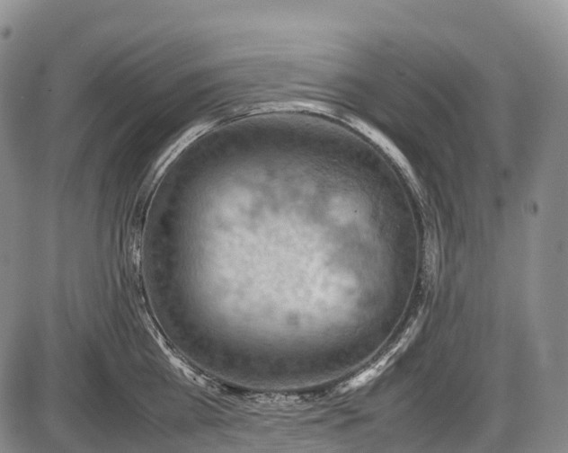 X0000085750809200703301400