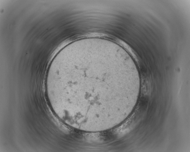 X0000085750810200703301400