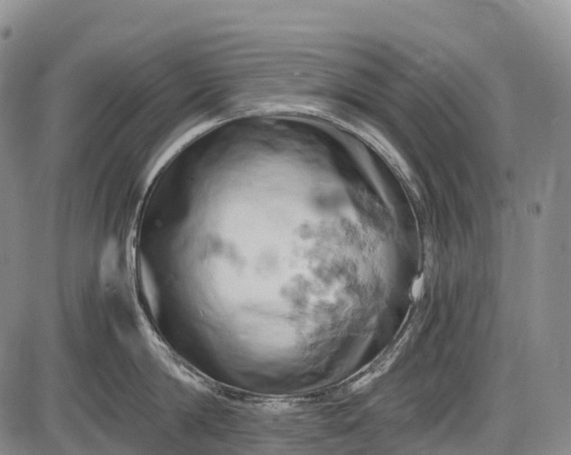 X0000085750814200703301400