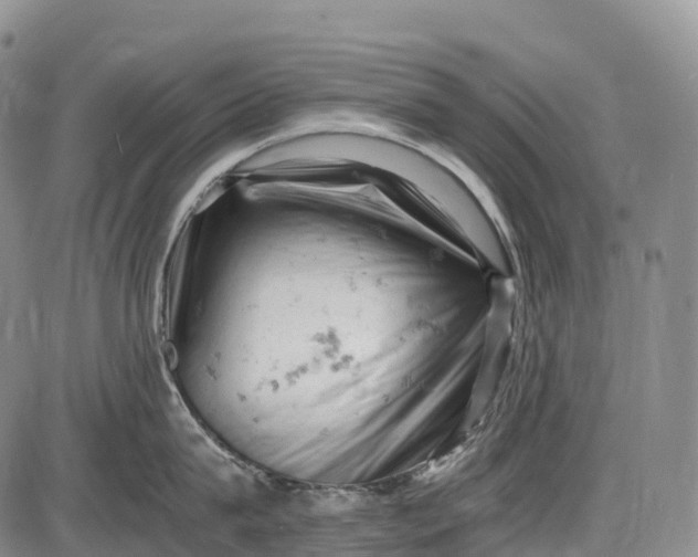 X0000085750815200703301400