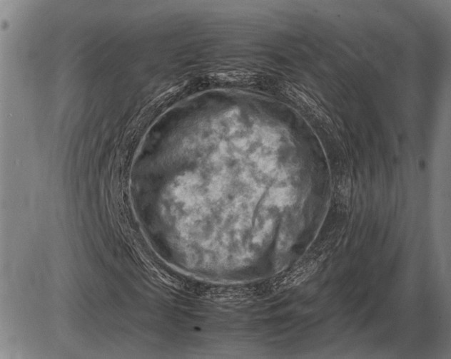 X0000085750817200703301400