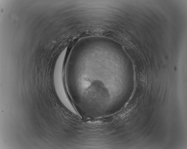 X0000085750818200703301400