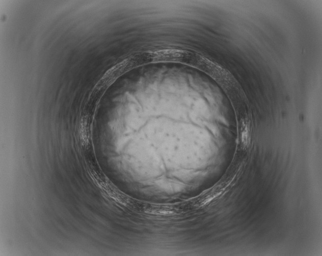 X0000085750819200703301400