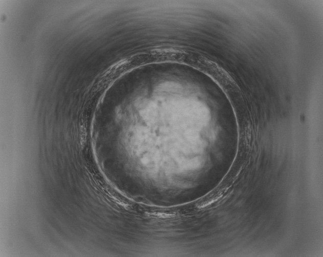 X0000085750821200703301400