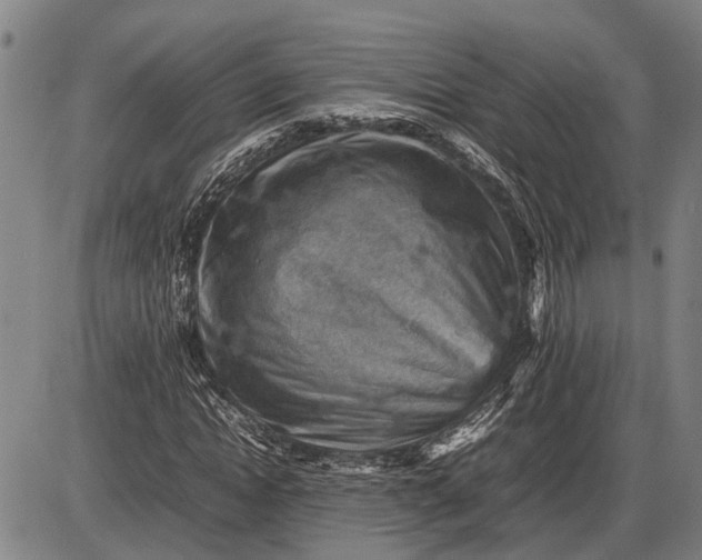 X0000085750822200703301400