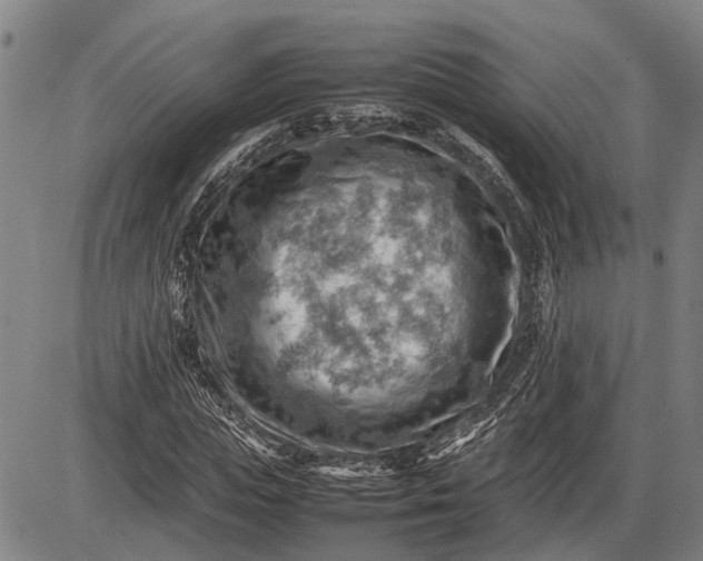 X0000085750823200703301400