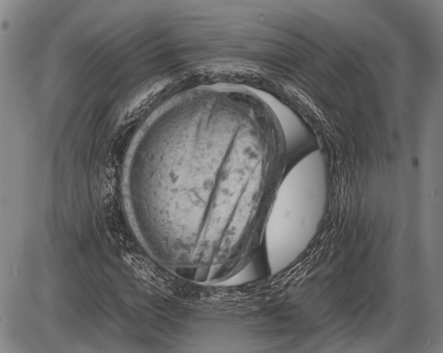 X0000085750824200703301400